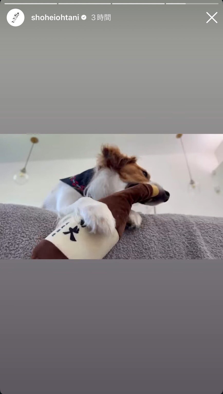 ドジャース大谷のインスタグラムから