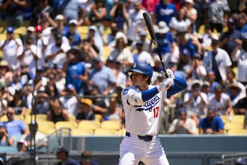レイズ戦6回に代打で出場した大谷翔平（AP）