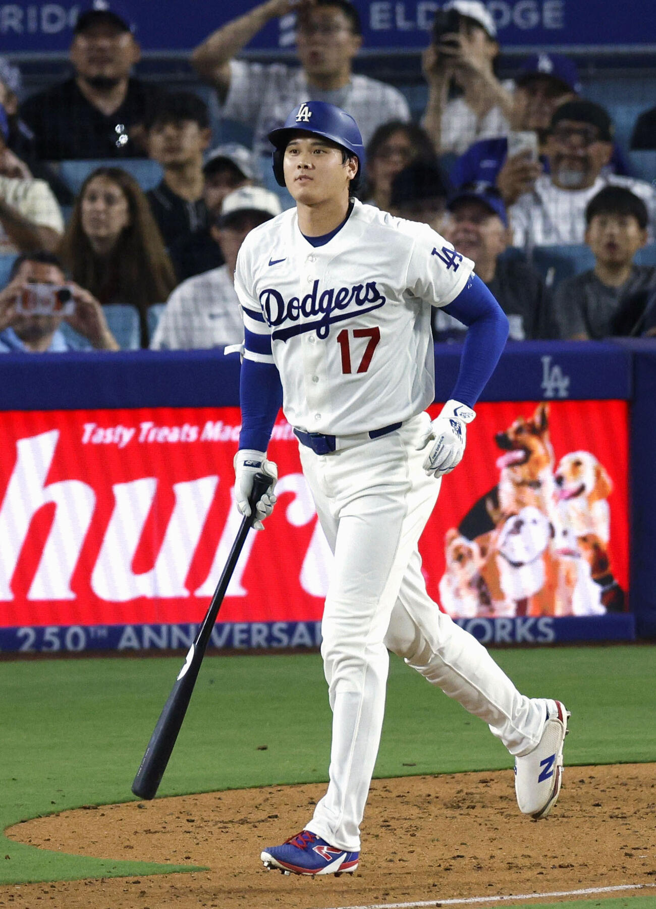 パドレス戦の6回、右飛に倒れたドジャース・大谷＝ロサンゼルス（共同）