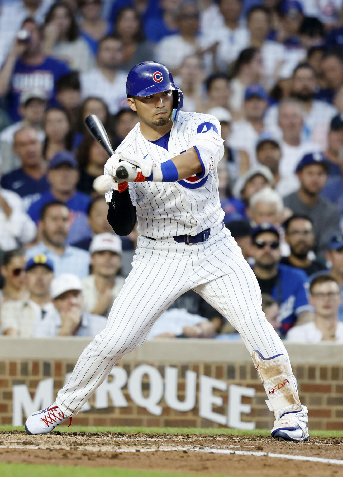 ドジャース戦の3回、四球を選ぶカブス・鈴木＝シカゴ（共同）