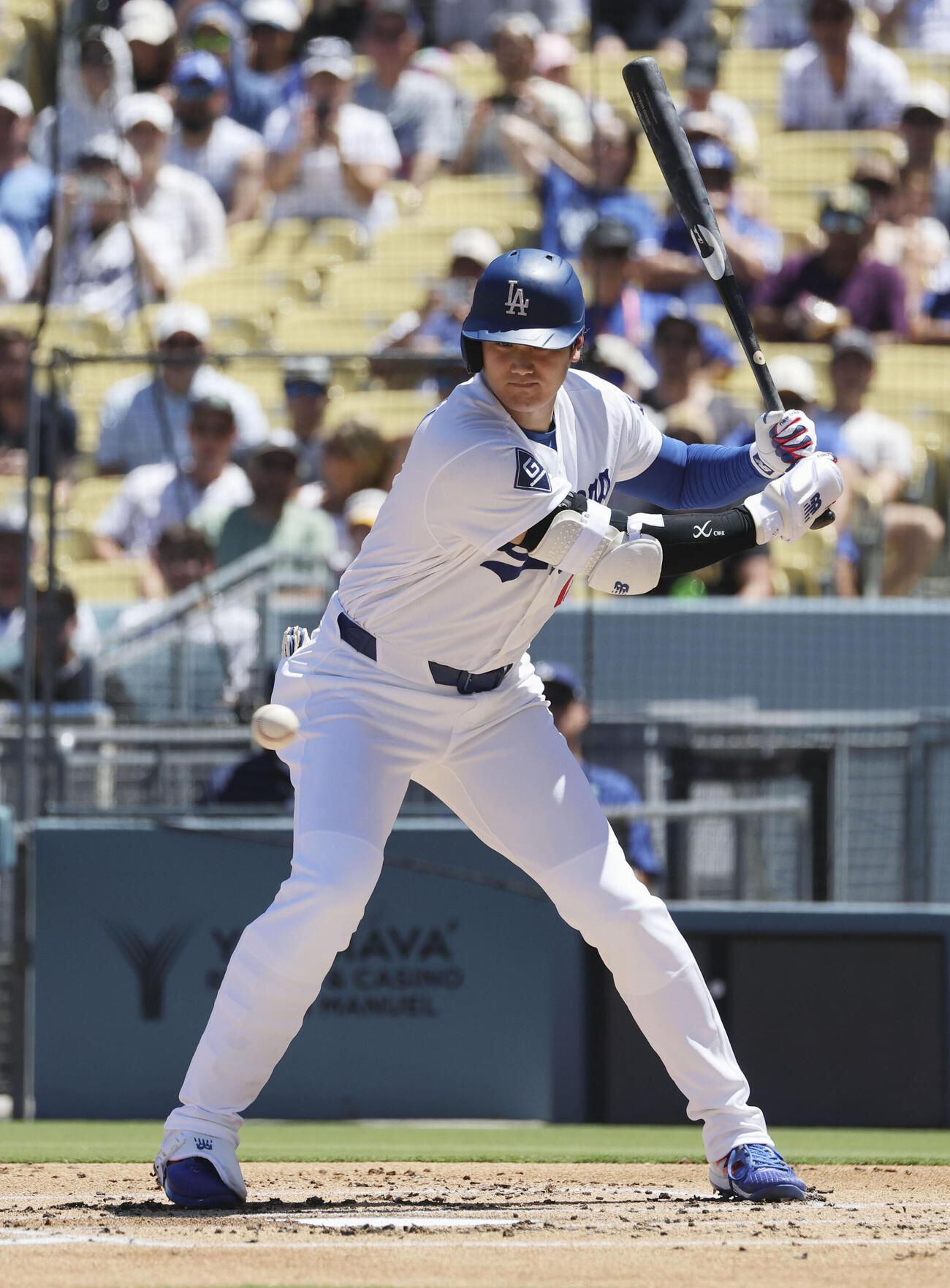 パイレーツ戦の1回、四球を選ぶドジャース大谷（共同）
