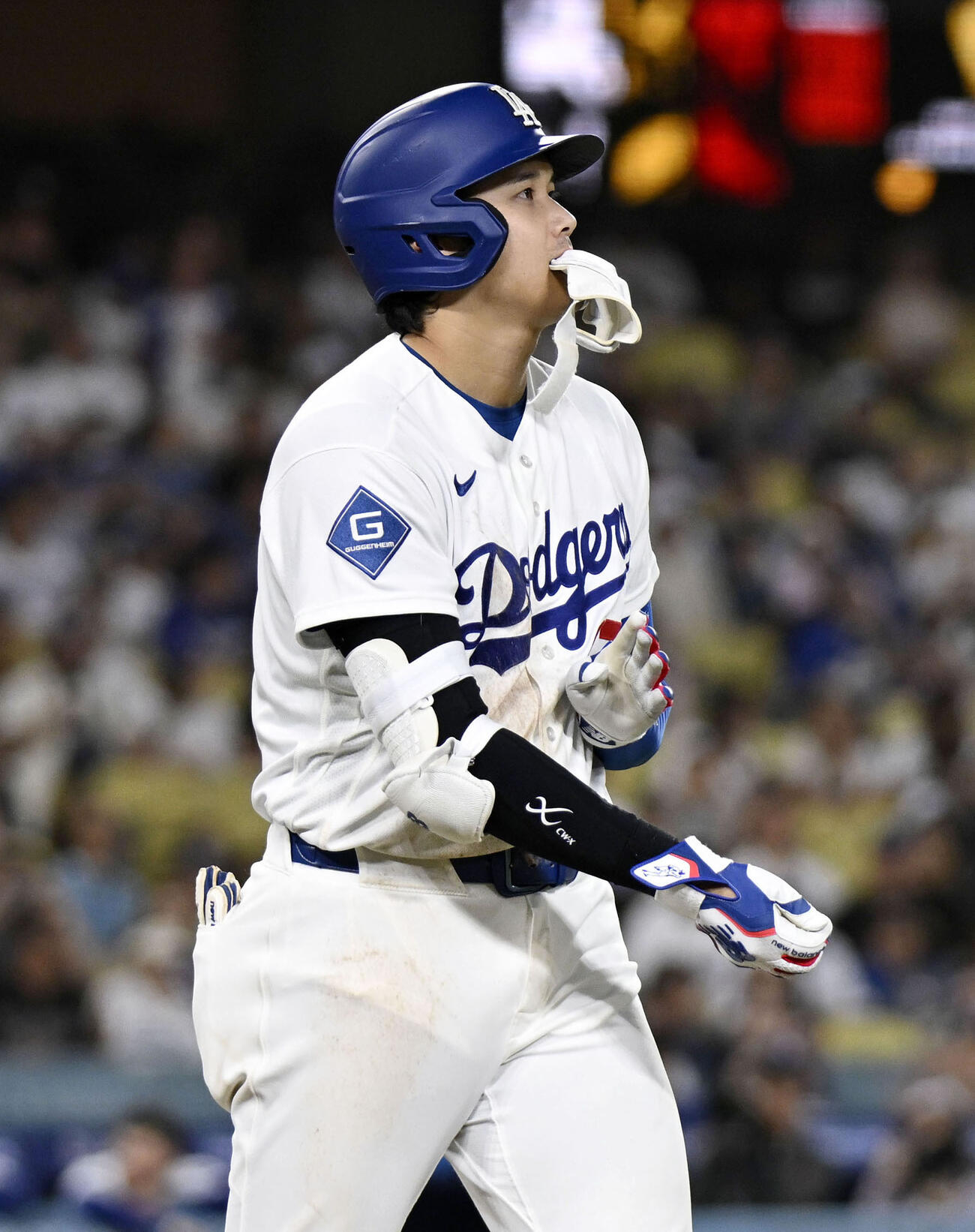 カージナルス戦の7回、死球で出塁したドジャース・大谷＝ロサンゼルス（共同）