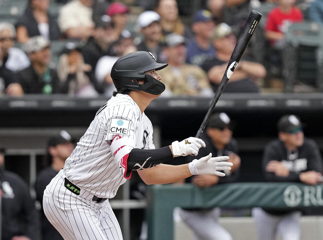 タイガース戦の1回、左前に先制打を放つホワイトソックス村上（共同）