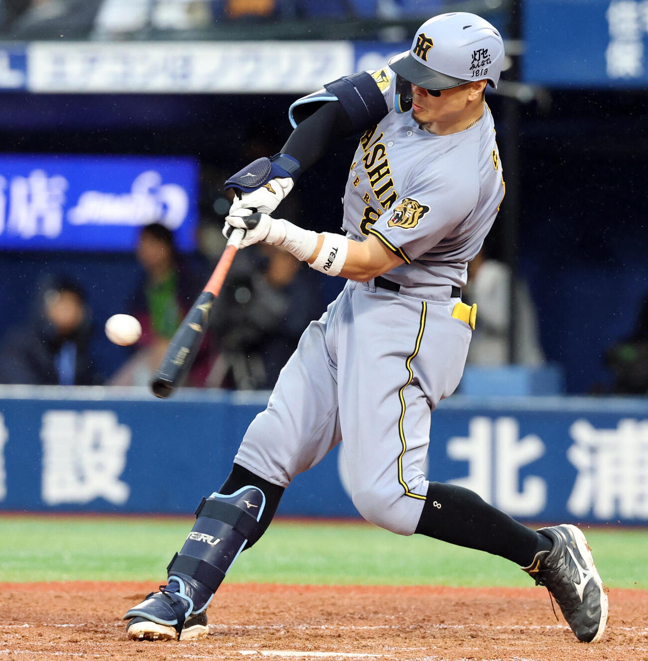 阪神佐藤輝明（26年9月撮影）