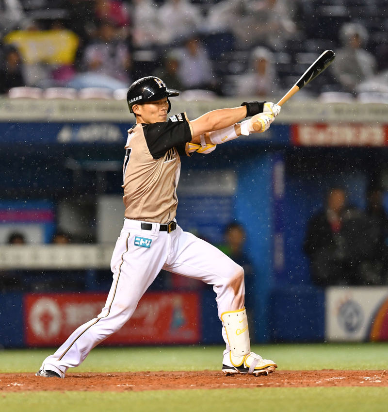 野球 NPB バット 大野奨太