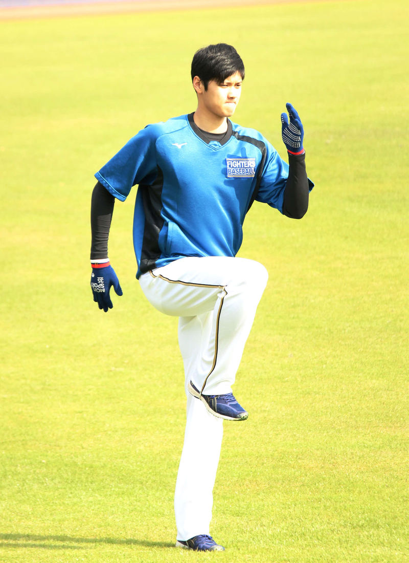 日本ハム大谷、充実初メニュー「しっかり1つ1つ」 - プロ野球 : 日刊
