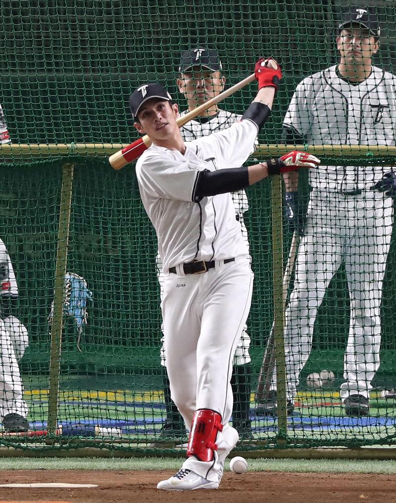 陽岱鋼読売ジャイアンツ時代バット 硬