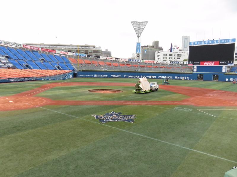 DeNA本拠芝張り替え 苦手巨人＆ソフトBと同じ - プロ野球 : 日刊
