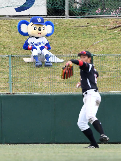 外野席で観戦するドアラ（撮影・前岡正明）