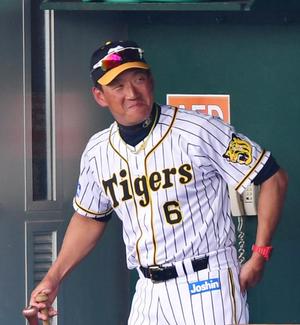 最有力は藤浪」／金本監督 - プロ野球 : 日刊スポーツ