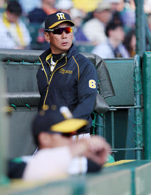 1年中打ったらどうするの」／金本監督 - プロ野球 : 日刊スポーツ