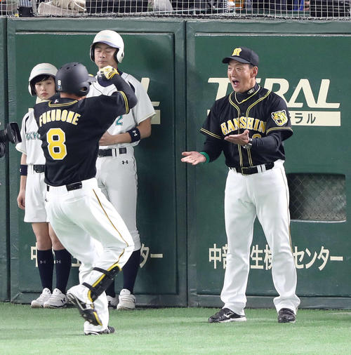 巨人対阪神　２回表阪神１死、金本監督（右）は先制左越えソロ本塁打の福留を笑顔で迎える（撮影・松本俊）