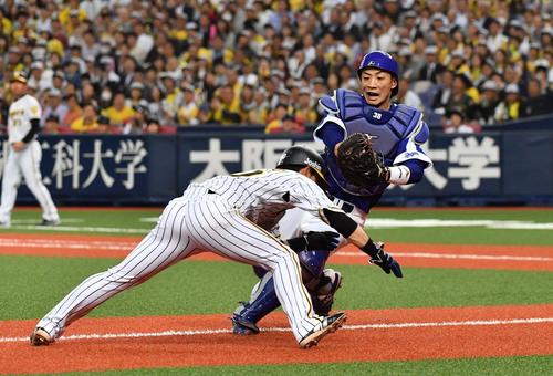 阪神対中日 6回裏阪神1死二、三塁、福留孝介の投ゴロで三本間に挟まれる上本博紀。松井雅人のタッチをさけ生還するも判定はアウトとなる(撮影・上田博志)=2018年4月6日、京セラドーム大阪