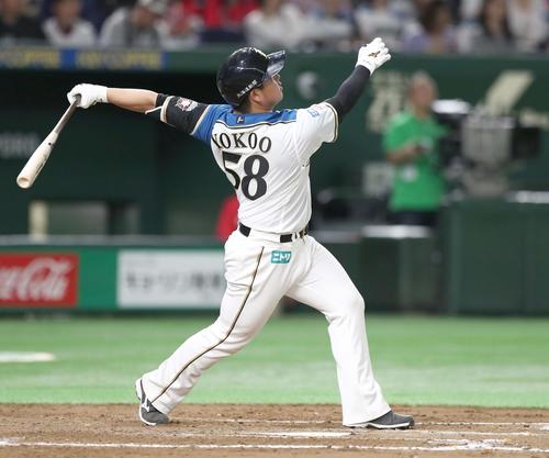 日本ハム対ロッテ　７回裏日本ハム１死、左越え本塁打を放つ横尾（撮影・黒川智章）