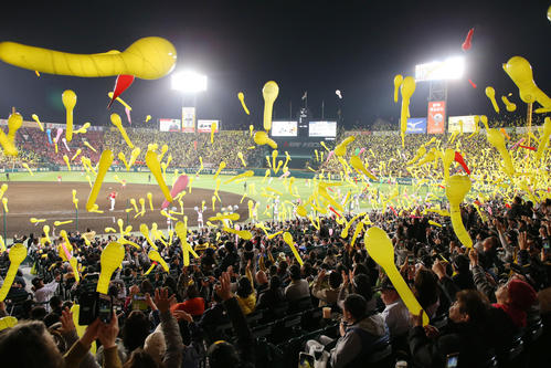 満員のファンで埋まる甲子園（撮影・加藤哉）