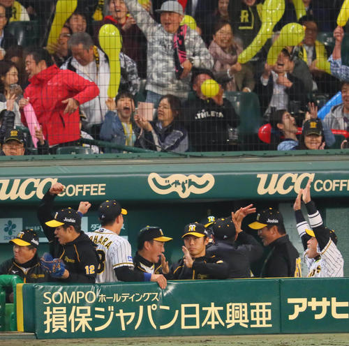 ９回表広島２死二塁、金本知憲監督（中央）は勝利が決まりナインと喜び合う（撮影・宮崎幸一）