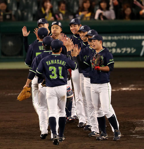 阪神対ヤクルト　阪神に勝利し、マウンド上でタッチを交わして喜ぶヤクルトナイン（撮影・前田充）