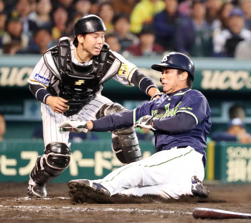 阪神対ヤクルト　８回表ヤクルト２死一、二塁、二走雄平は川端の右前打で本塁突入もタッチアウト、左は梅野（撮影・加藤哉）
