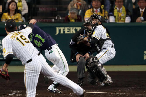 阪神対ヤクルト　３回表ヤクルト無死一塁、山崎晃大朗の盗塁を刺す梅野（撮影・前田充）