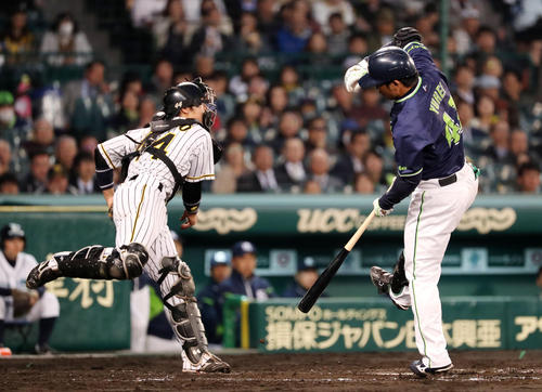 阪神対ヤクルト　３回表ヤクルト無死一塁、梅野は打者雄平のとき、二塁盗塁を試みた山崎を刺す（撮影・加藤哉）