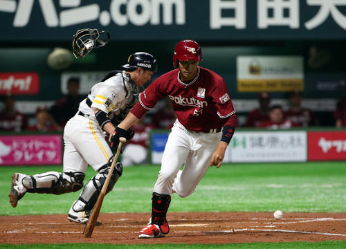 ソフトバンク対楽天 2回表楽天2死、八百板卓丸は空振り三振に倒れる(撮影・栗木一考)