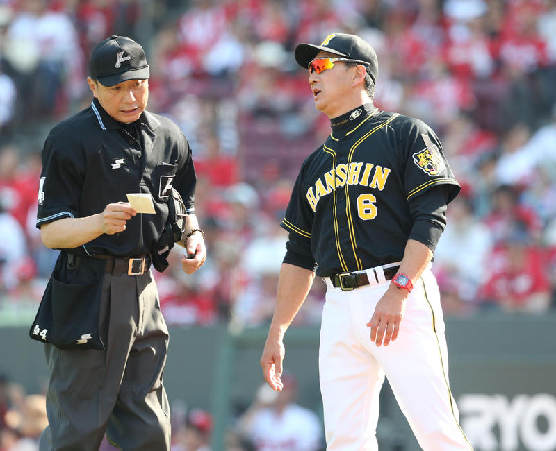 言いようがないわ」／金本監督 - プロ野球 : 日刊スポーツ