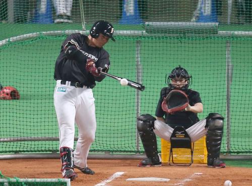 打撃練習をする日本ハム清宮（撮影・佐藤翔太）