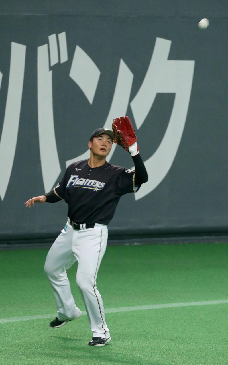 日本ハム「外野手清宮」育成着手、今後の起用に幅を - プロ野球 : 日刊