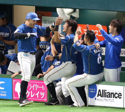 ソフトバンク対日本ハム 11回表日本ハム1死、レアードは左中間へ勝ち越しソロ本塁打を放ちベンチ前でナインの出迎えを受ける(撮影・栗木一考)