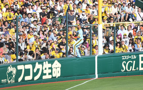 7回表、大城卓三のファウルをフェンスにのぼってボールを追う中谷将大(撮影・奥田泰也)