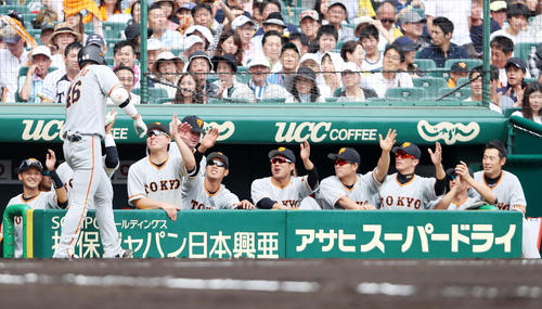 大城は右翼越えソロ本塁打を放ちベンチのナインとタッチする(撮影・加藤哉)