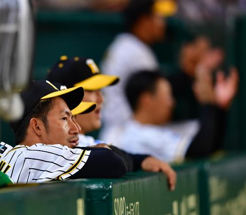 阪神対ソフトバンク　９回、ベンチから試合を見つめる鳥谷（撮影・清水貴仁）