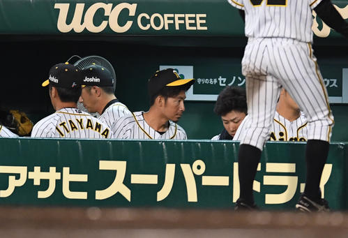 阪神対ソフトバンク　ソフトバンク戦出番が無く連続試合がとぎれベンチから引き揚げる鳥谷敬（撮影・奥田泰也）＝２０１８年５月29日、甲子園球場
