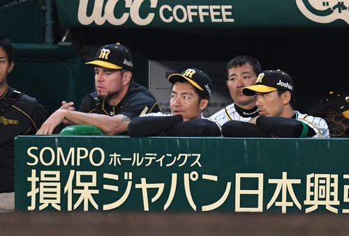 阪神対ソフトバンク　９回、ベンチから試合を見つめる鳥谷敬（左から２人目）（撮影・奥田泰也）
