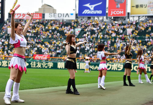 試合前、タイガースガールズ（白）とソフトバンクのハニーズ（黒）が試合を盛り上げる（撮影・清水貴仁）
