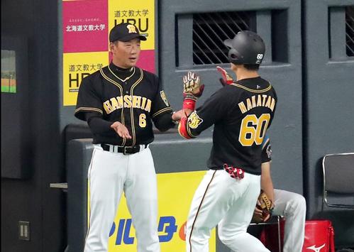 日本ハム対阪神 4回表阪神2死三塁、左越え2点本塁打を放ち、中谷を出迎える金本監督(撮影・佐藤翔太)