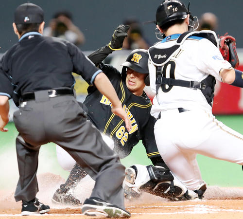 日本ハム対阪神 8回表阪神無死一塁、植田は打者糸原のときエンドランでスタートを切り本塁へ生還する(撮影・加藤哉)