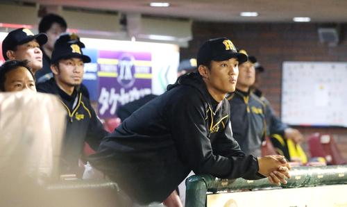 ７回裏楽天２死満塁、藤浪は嶋の飛球をベンチから見上げる（撮影・加藤哉）