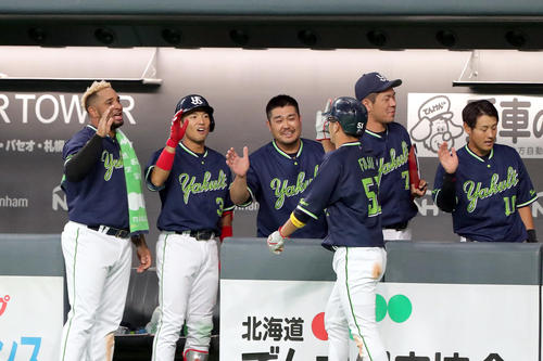 坂口の右前適時打で生還した藤井を出迎えるチームメート(撮影・佐藤翔太)