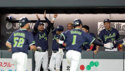 青木の右越え適時二塁打で盛り上がるヤクルトベンチ(撮影・佐藤翔太)
