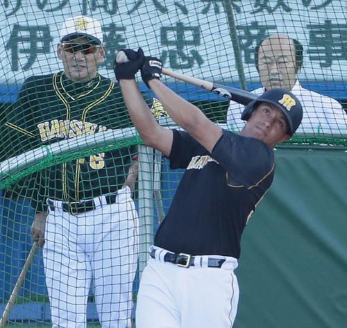 試合前、打撃練習をするナバーロ（手前）。後方左は金本監督（撮影・足立雅史）