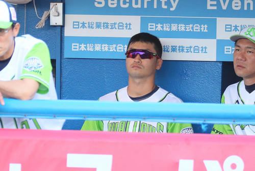 ベンチ入りした青木宣親（撮影・宮崎幸一）