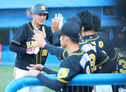 俊介（藤川俊介）は左越え先制本塁打を放ちナインに迎えられる（撮影・宮崎幸一）