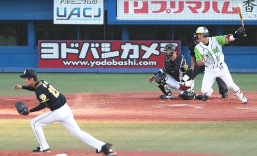 ２回裏ヤクルト無死一、三塁、右前適時打を放つ井野。投手小野（撮影・足立雅史）