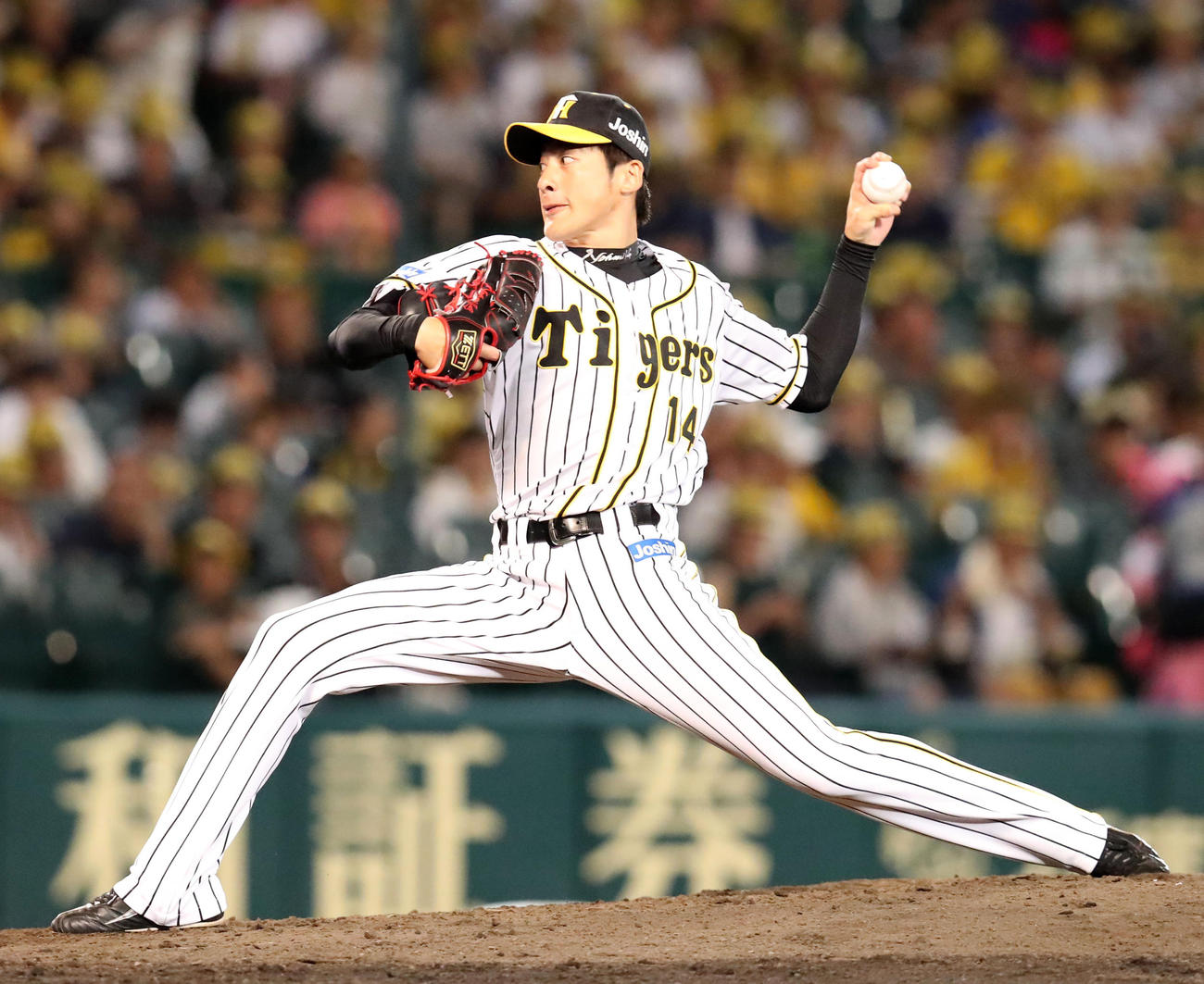 ６回表、阪神２番手で登板する能見（撮影・加藤哉）