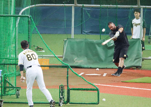 阪神対ヤクルト　早出特打を行うロサリオ（撮影・加藤哉）