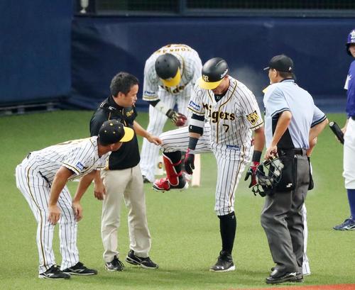 阪神対ヤクルト　７回裏阪神１死満塁、糸井は死球を受け右膝付近を気にする（撮影・加藤哉）