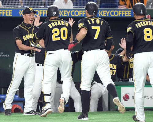 １回表阪神１死満塁、左越えに８号満塁本塁打を放ったロサリオを迎える金本監督（撮影・たえ見朱実）