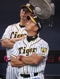 阪神金本監督「あ、そう」広島M点灯許し会見72秒 - プロ野球 : 日刊