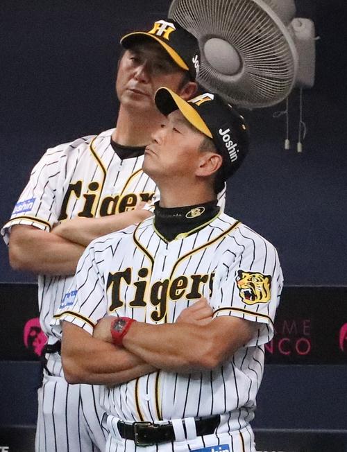 阪神金本監督「あ、そう」広島M点灯許し会見72秒 - プロ野球 : 日刊
